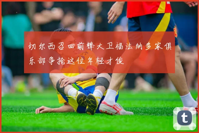 切尔西召回前锋大卫福法纳多家俱乐部争抢这位年轻才俊