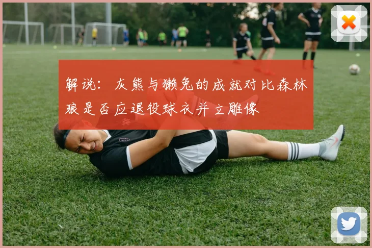 解说：灰熊与獭兔的成就对比森林狼是否应退役球衣并立雕像