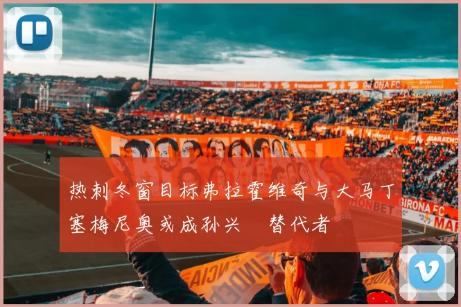 热刺冬窗目标弗拉霍维奇与大马丁塞梅尼奥或成孙兴慜替代者