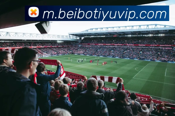 贝博体育APP 封面图